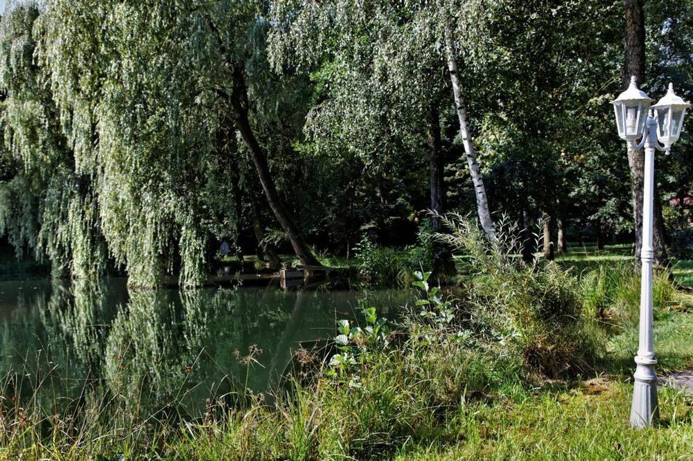 Hotel Zum Hirschen Лам Екстериор снимка